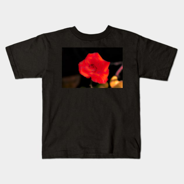 Blur orange rose blossom Kids T-Shirt by kall3bu